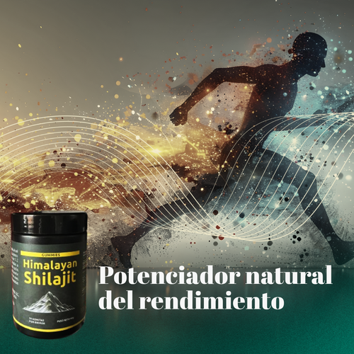 gid://shopify/MediaImage/24691565101150